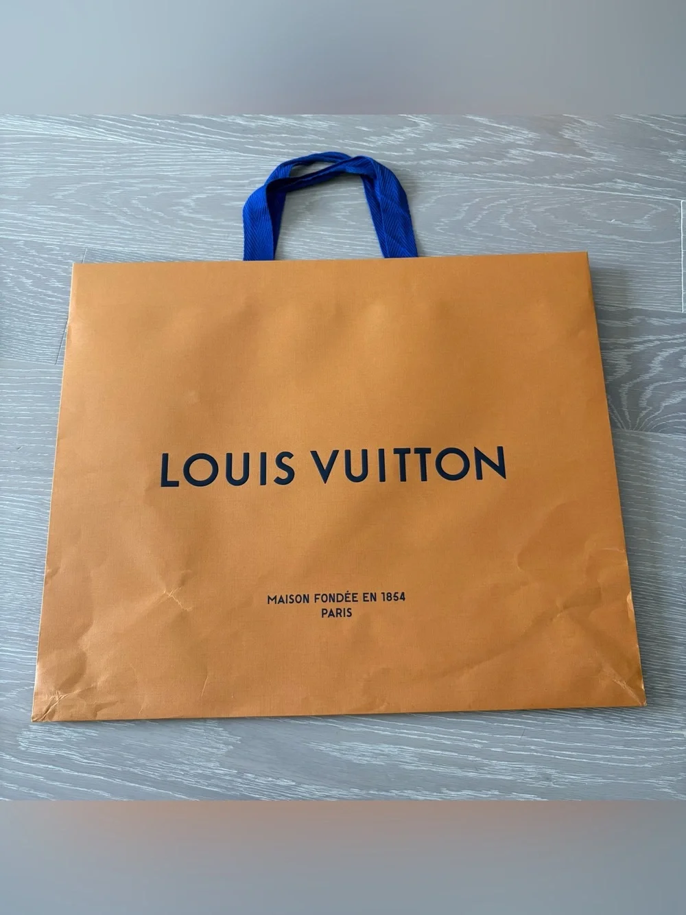 Louis Vuitton Medium Large Shopping Gift Bag